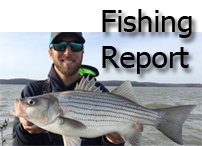 Fishing Report